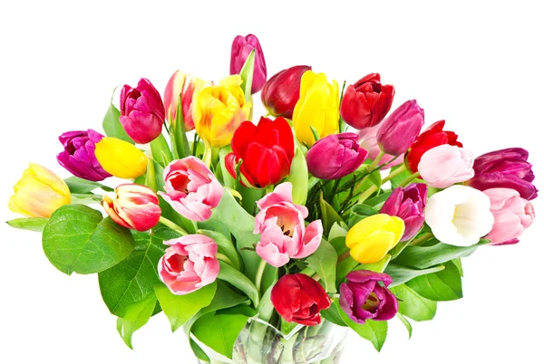 Bouquet de fleurs colorées — Photo