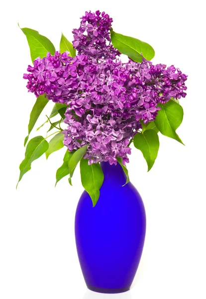 Strauß fliederfarbener Blumen in einer blauen Vase — Stockfoto