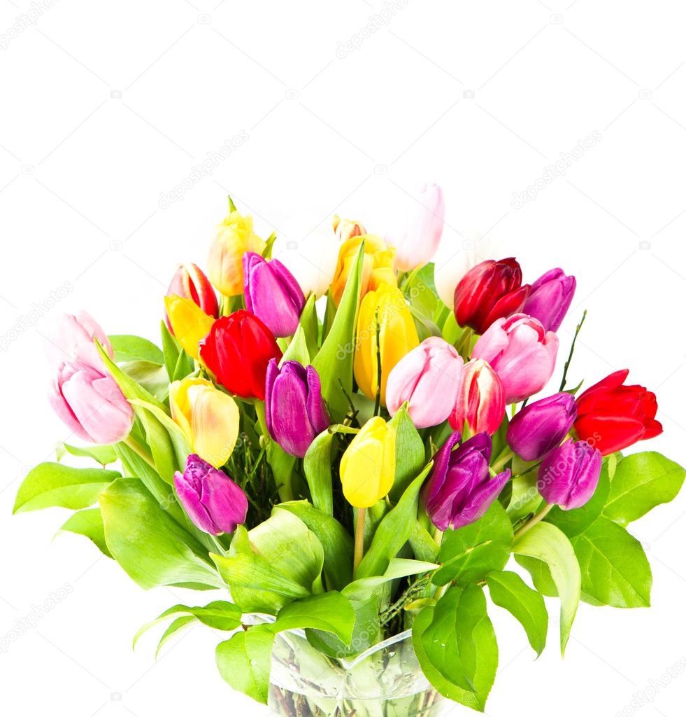 bouquet of fresh colorful tulips flowers