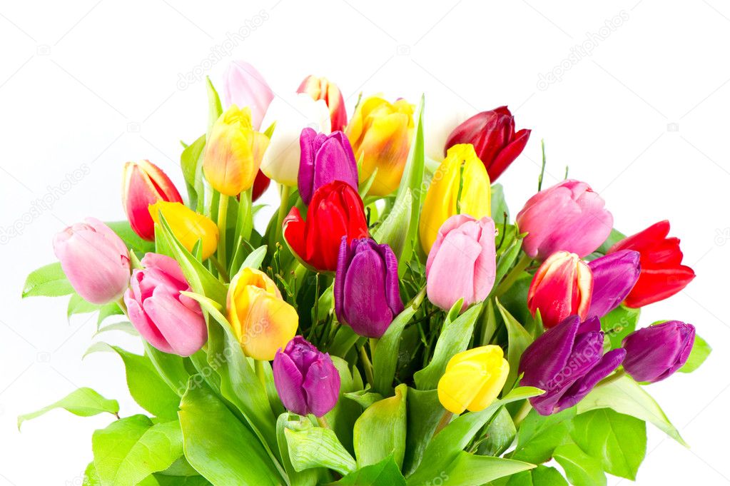 bouquet of colorful tulips flowers