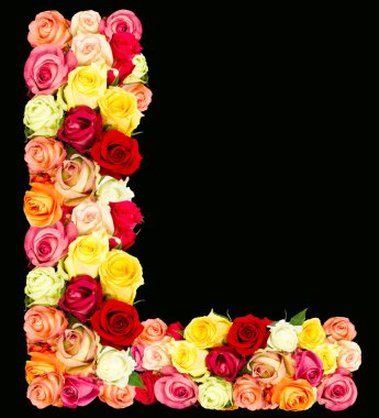 l, gül çiçek alfabesi