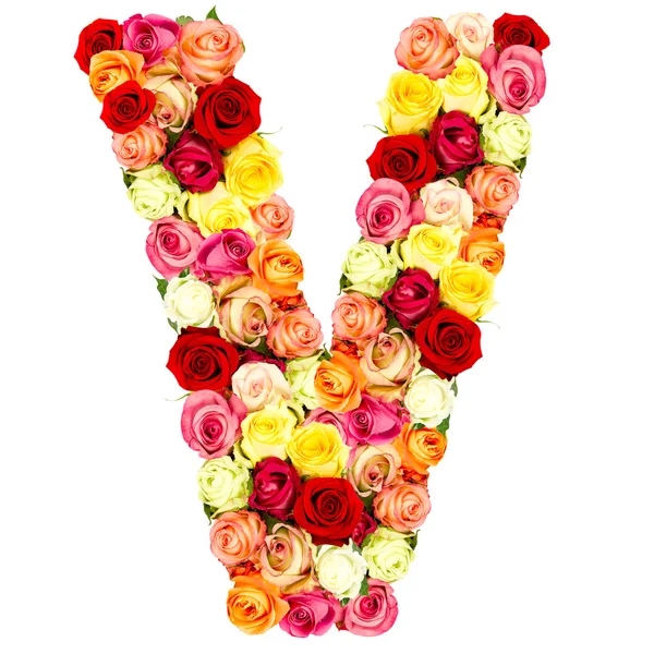 V, gül çiçek alfabesi — Stok fotoğraf