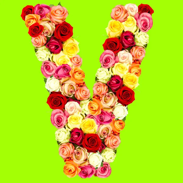 V, alfabet kwiat róż — Zdjęcie stockowe