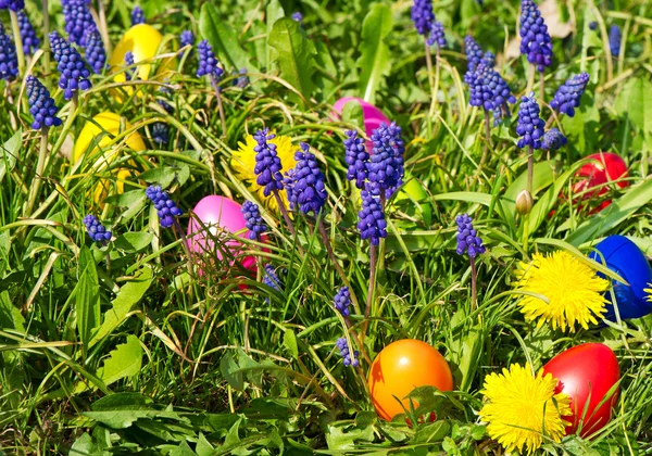 Färgglada påskägg på en vacker vår äng — Stockfoto