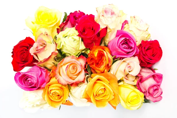 Rosas coloridas, hermoso ramo de flores en blanco — Foto de Stock