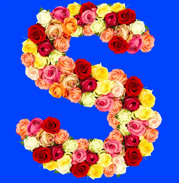 S, alfabeto dei fiori delle rose — Foto Stock