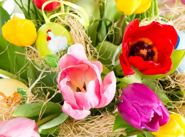 Tulipanes frescos de primavera con huevos de Pascua —  Fotos de Stock