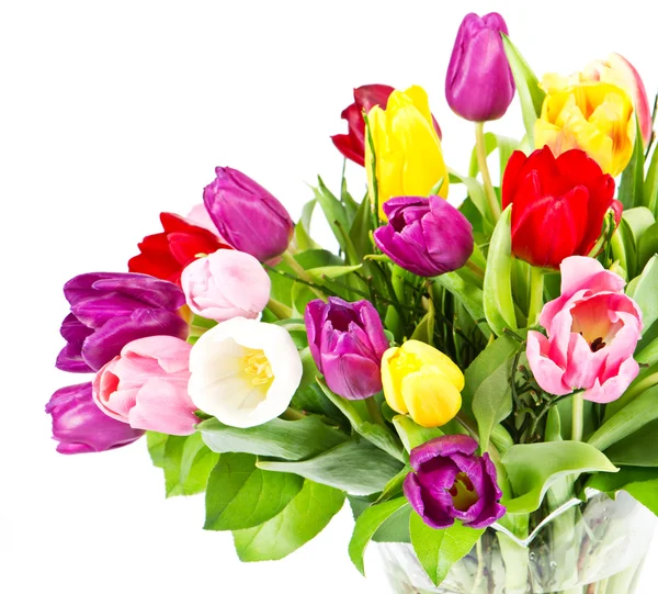 Colorful bouquet of fresh tulip flowers — Zdjęcie stockowe