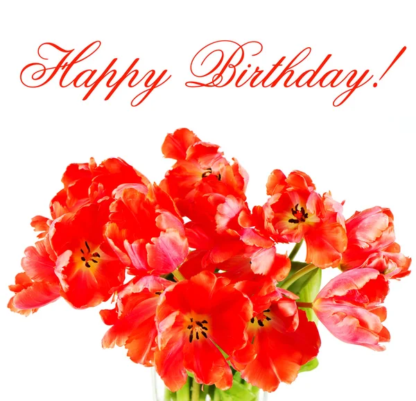 Tulipanes rojos. ¡Feliz cumpleaños! concepto de tarjeta — Foto de Stock