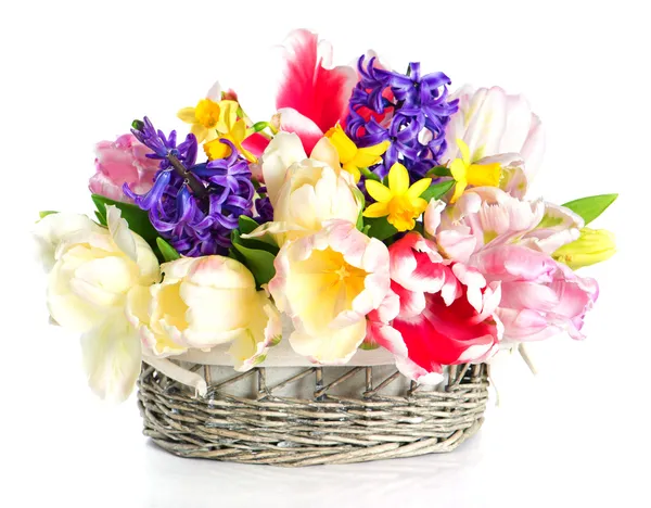 Tulipes, narcisses et jacinthes. fleurs printanières colorées — Photo