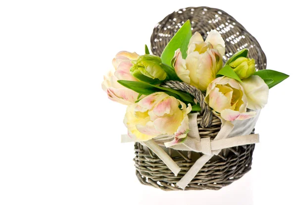Fresh pastel colored tulips in the basket — Stock Photo, Image