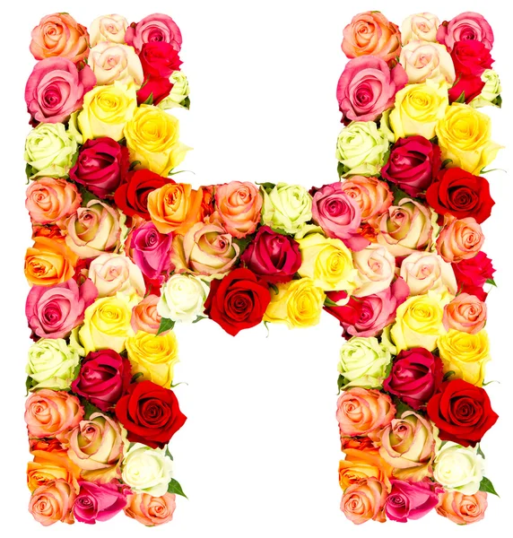 H, Rosen Blume Alphabet — Stockfoto