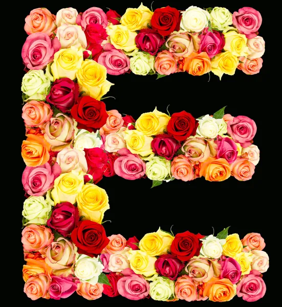 E, алфавит цветов роз — стоковое фото