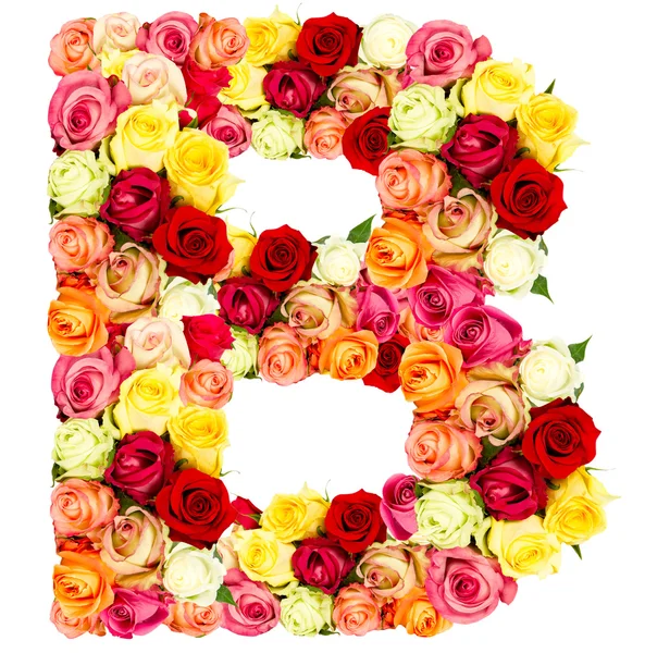 R, алфавит цветов роз — стоковое фото