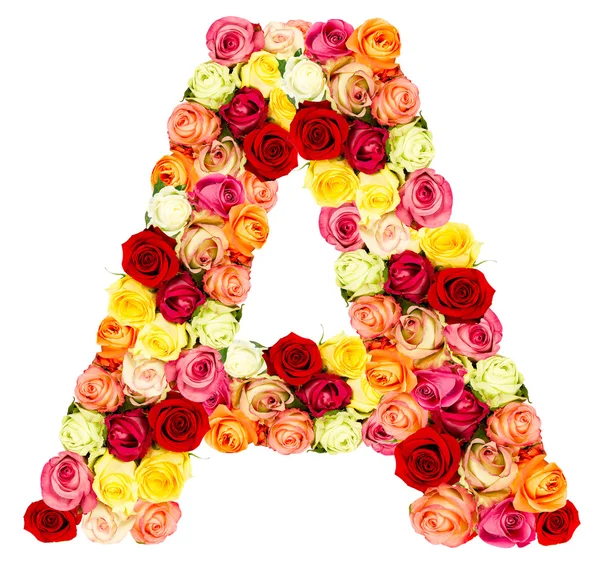 A, alfabeto dei fiori delle rose — Foto Stock