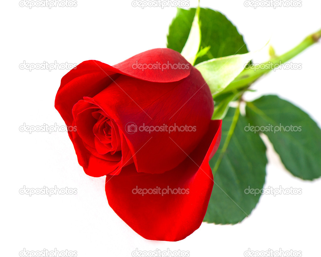 red dating Browse the red deer personals and meet the man or woman you've been searching for take your pick of hot red deer singles today, red deer personals. red dating Browse the red deer personals and meet the man or woman you've been searching for take your pick of hot red deer singles today, red deer personals.