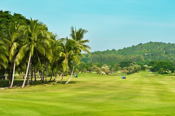 Golf Sahası. avuç içi yatay