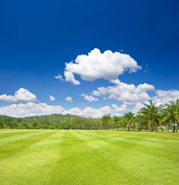 Тропический пейзаж. поле для гольфа с пальмами — стоковое фото