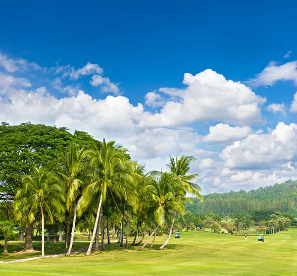 Campo da golf con palme sopra cielo nuvoloso blu — Foto Stock