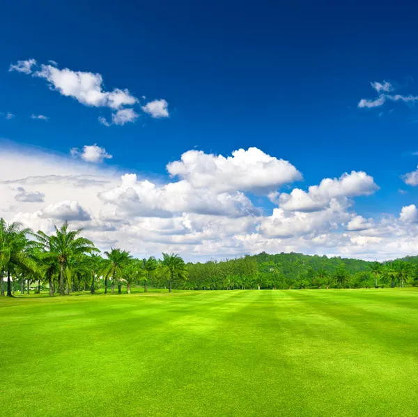 Pole golfowe zielony z dłoni na tle pochmurnego nieba — Zdjęcie stockowe