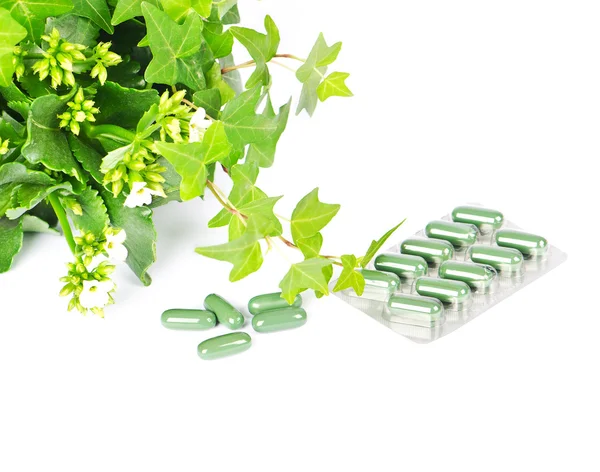 Herbal medicine with green plant — Stock Photo, Image