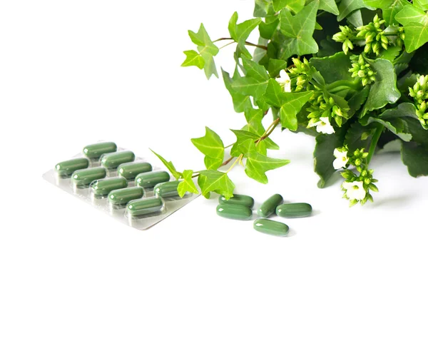 Herbal medicine pills with green plant — Stock Photo, Image