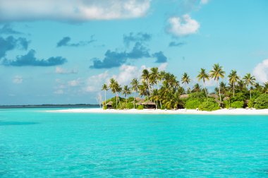 palmiye ağaçları ile tropikal beyaz kum plaj