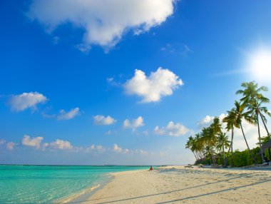 Tropik sahilde güzel bir gün batımı