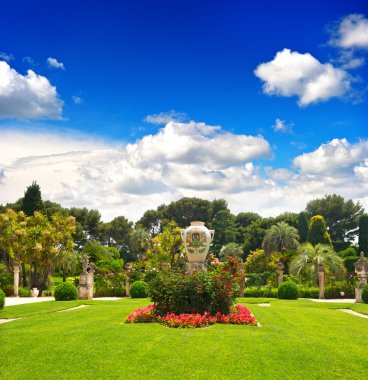 palmiye ağaçları ve mavi gökyüzü ile Akdeniz manzarası