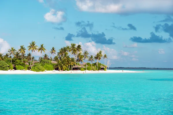 Тропический белый песчаный пляж с пальмами — стоковое фото