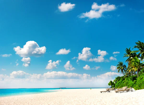 Palm beach. tropical island landscape — Stock Photo, Image