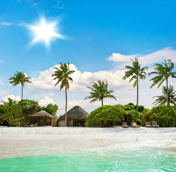 Landscape of tropical island beach with palm trees — Stock Photo, Image