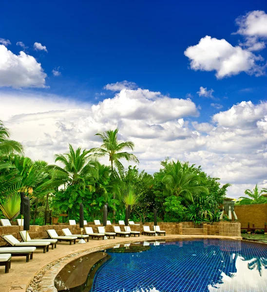 Swimming pool surrounded by lush tropical plants — Stock Photo, Image