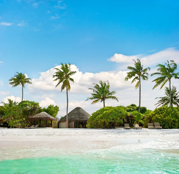 Krajina tropického ostrova pláž s palmami — Stock fotografie