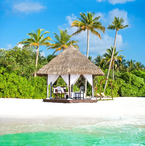 Tropical wedding location. beautiful blue sky and palm trees — Stock Photo, Image