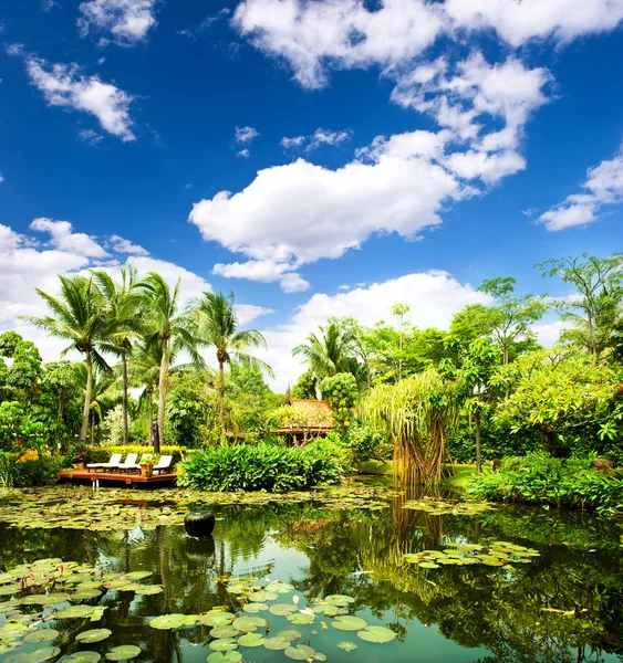 Damm omgiven av frodiga tropiska växter — Stockfoto