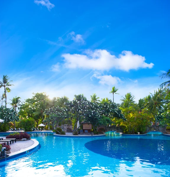 Piscina rodeada de exuberantes plantas tropicales —  Fotos de Stock