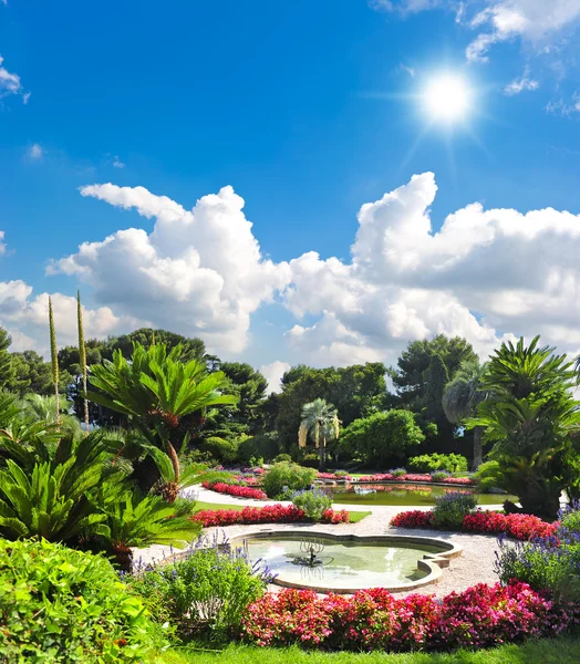 美丽的地中海花园。法国里维埃拉 — 图库照片