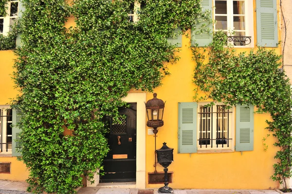 Vieja pared de la casa con puerta, ventanas y plantas — Foto de Stock