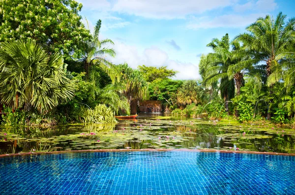 Yemyeşil tropikal bitkilerle çevrili Yüzme Havuzu — Stok fotoğraf
