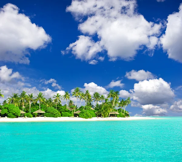 Tropical beach with palm trees over blue cloudy sky Stock Picture