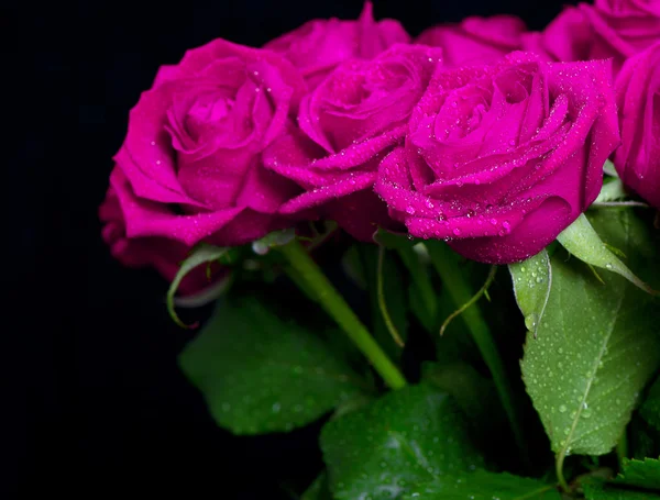 Boeket van roze rozen met water drops — Stockfoto