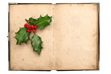 Vintage Kitap christmas dekorasyon holly berry ile açın