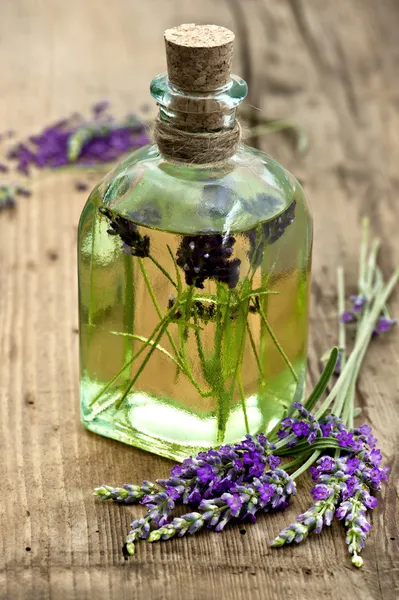 Aceite esencial de lavanda con flores frescas — Foto de Stock