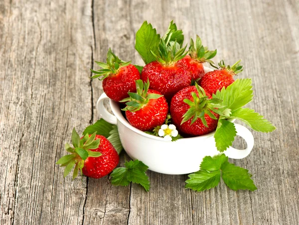 Fresas frescas con hojas y flores — Foto de Stock