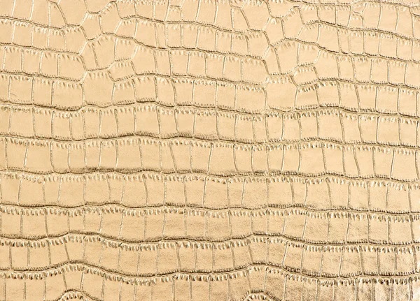 Πολυτελή χρυσή κροκόδειλος δέρμα φόντο — Φωτογραφία Αρχείου