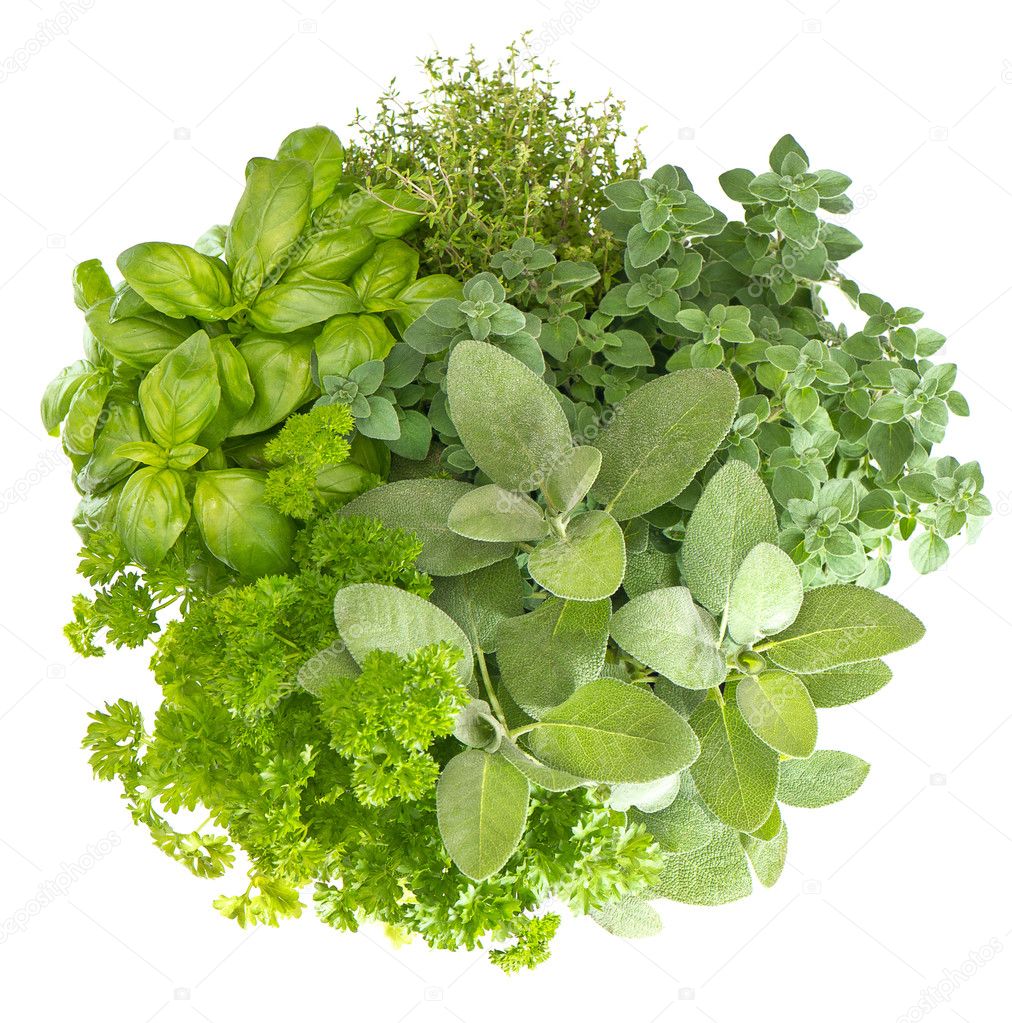 Variety fresh herbs isolated on white