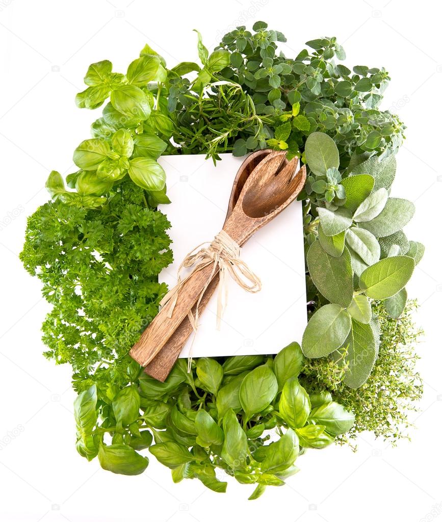 fresh kitchen herbs and decoration