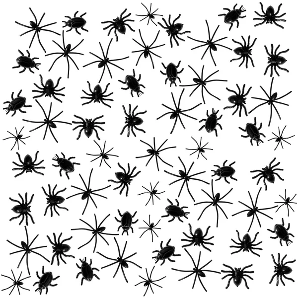 Много черного паука и жука на белом — стоковое фото