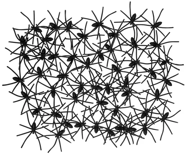 Birçok örümcek beyaz zemin üzerine siyah — Stok fotoğraf